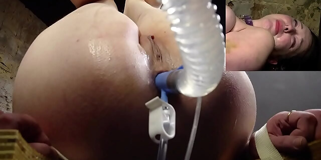 ass,bondage