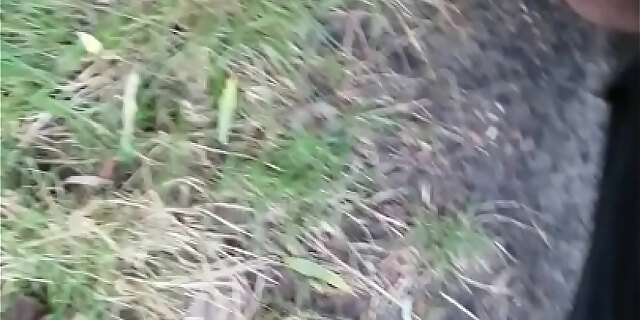 hairy,public